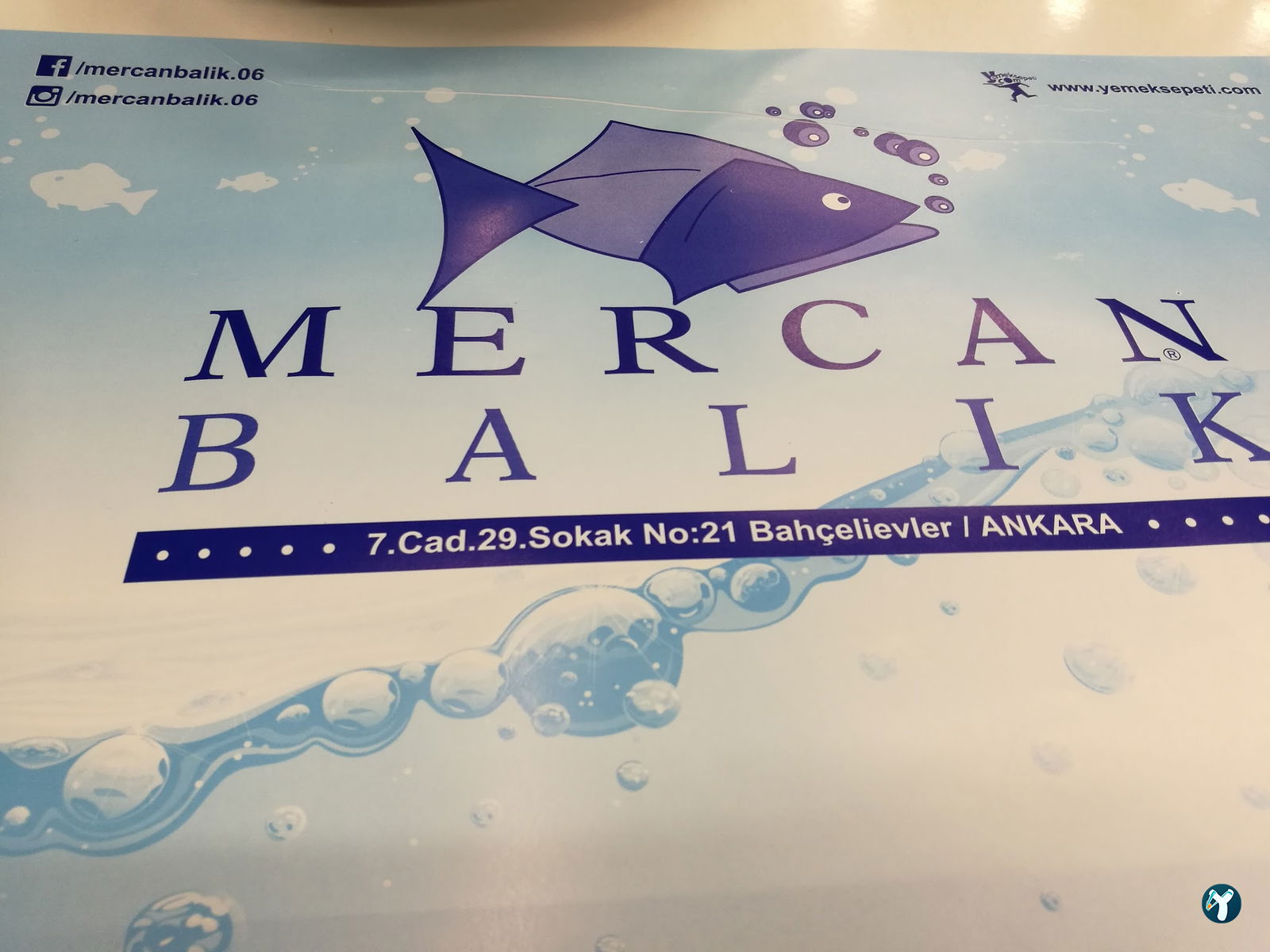 Mercan Balık