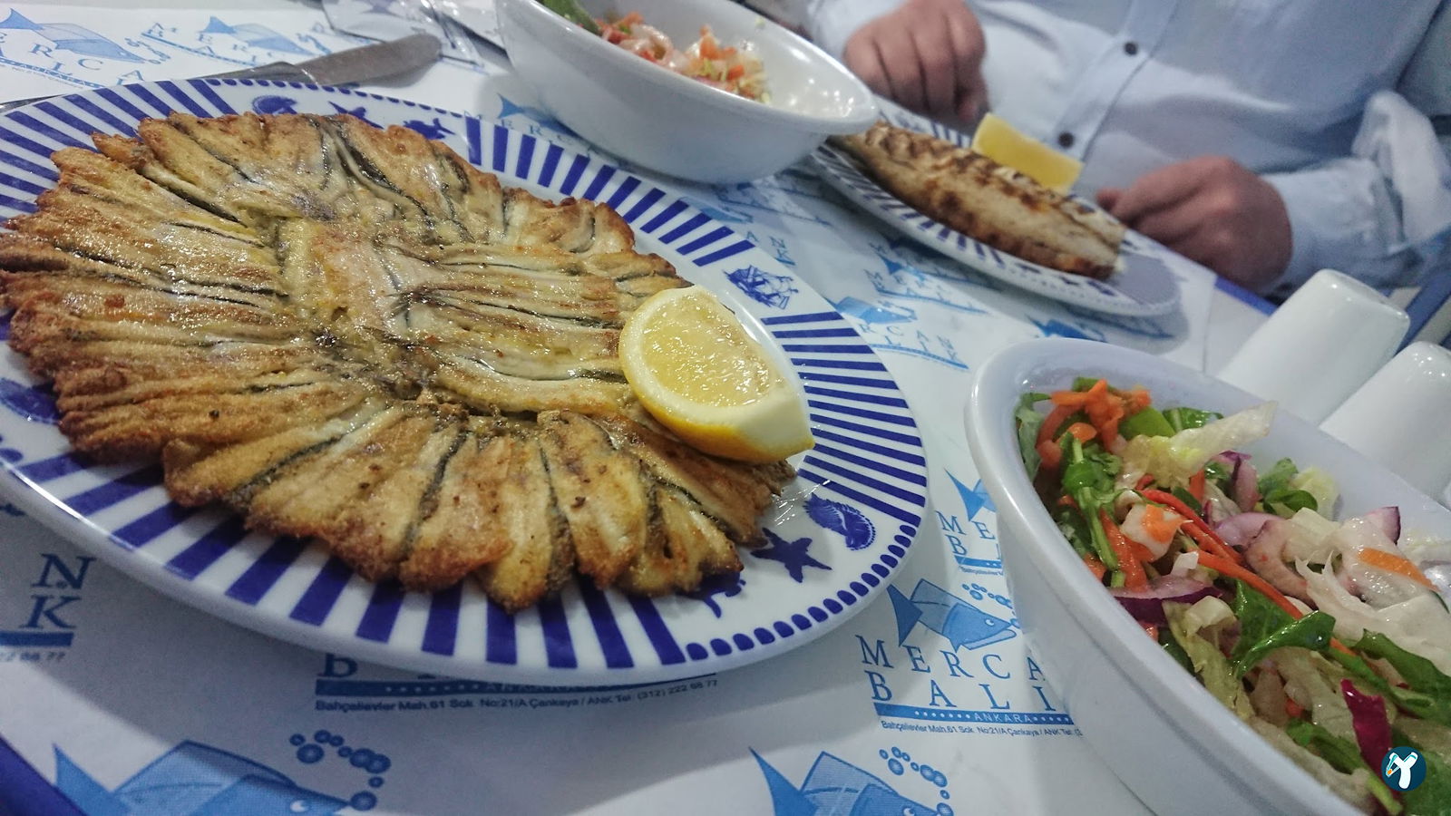 Mercan Balık