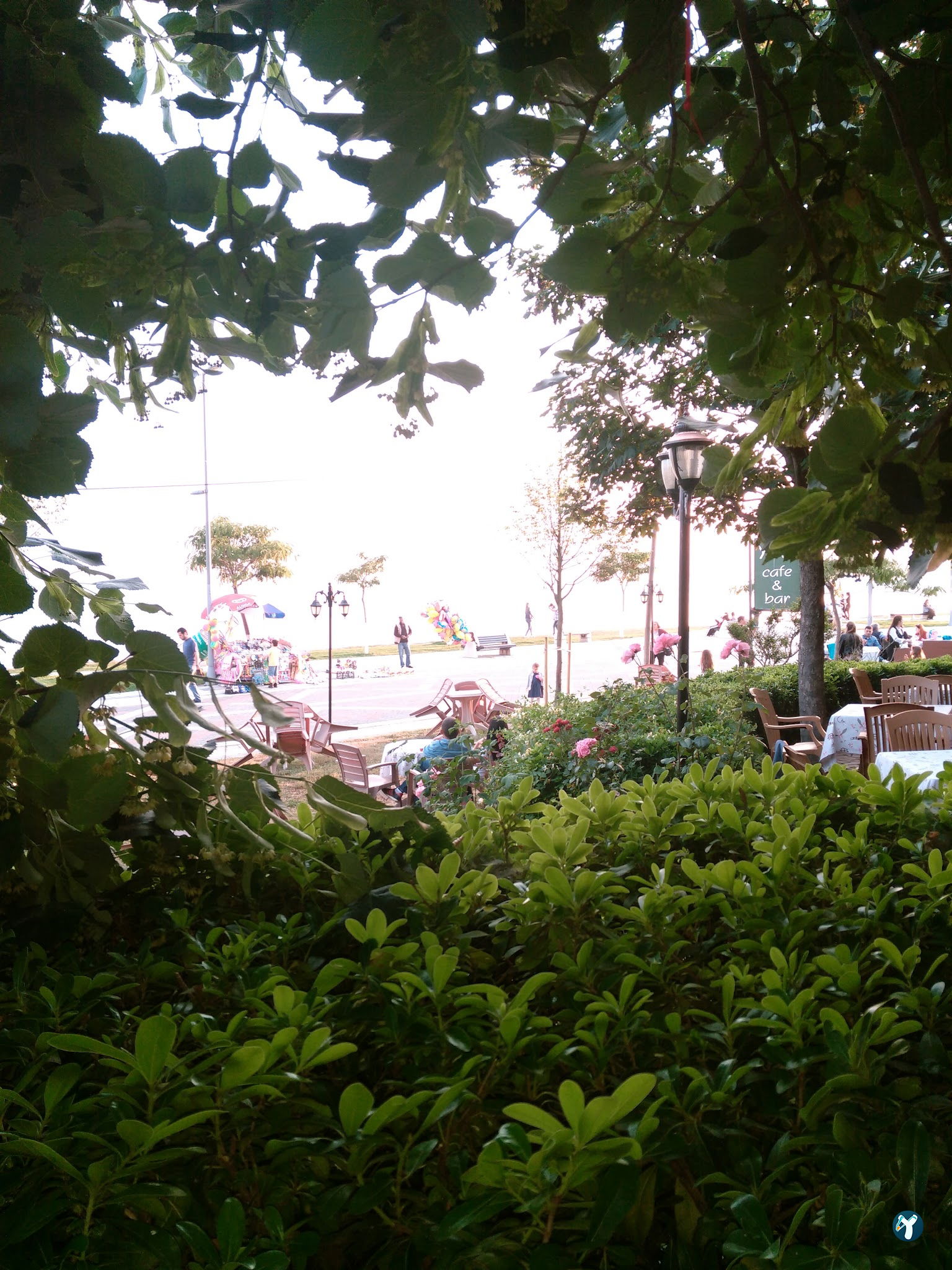 Marina Kafe
