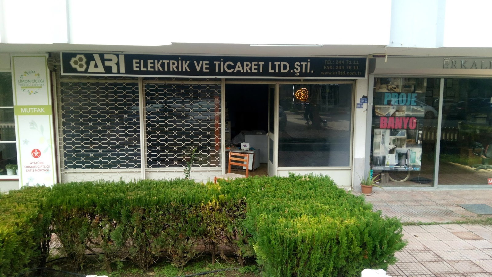 Limon Çiçeği