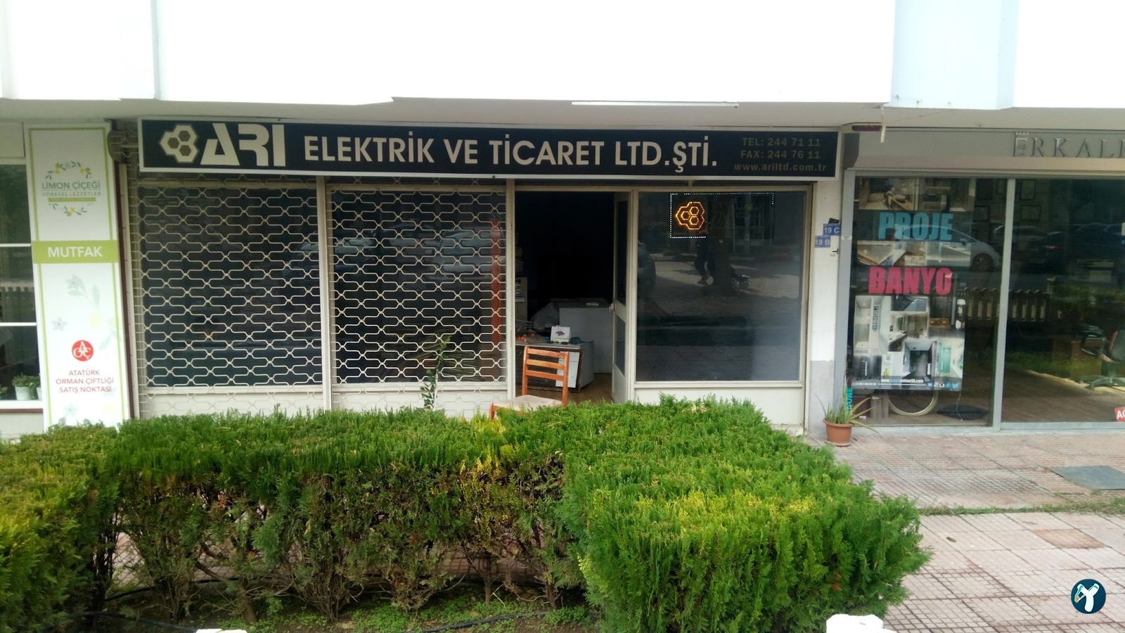 Limon Çiçeği
