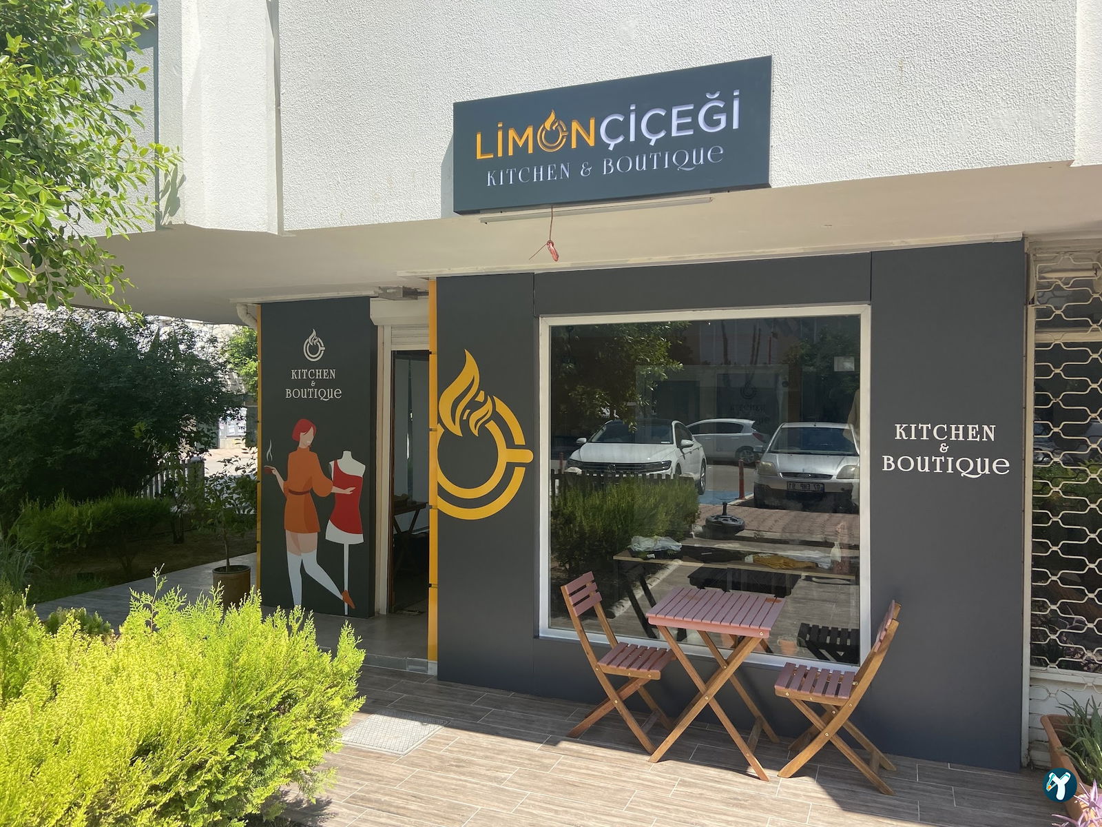 Limon Çiçeği