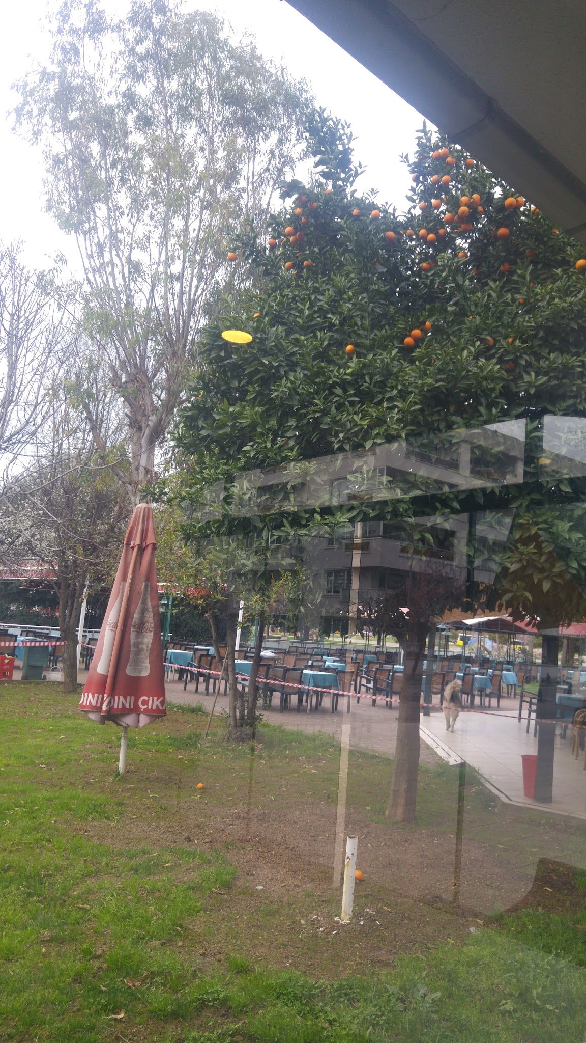 Marmara Family Tea Garden