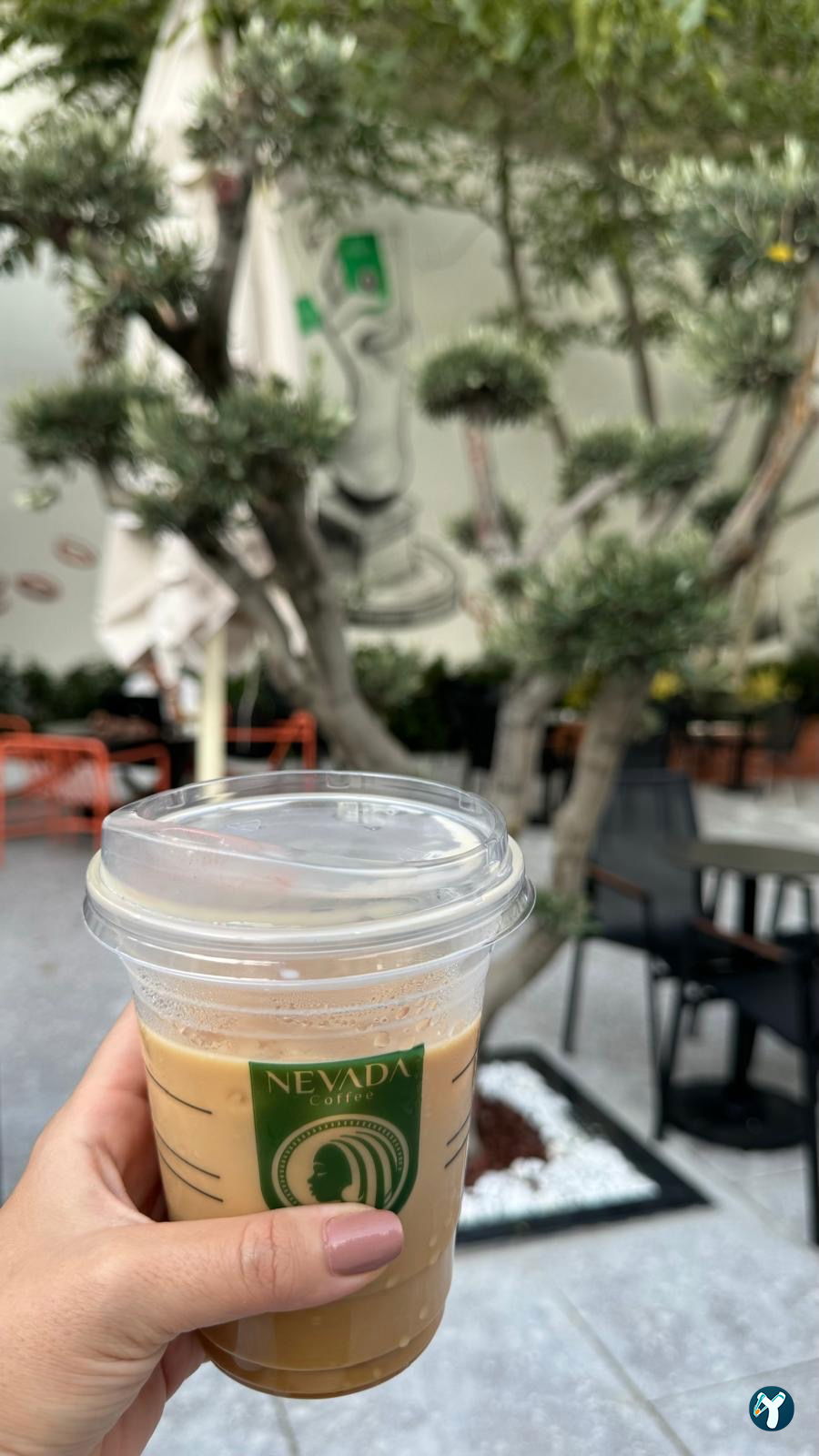 Nevada Coffee