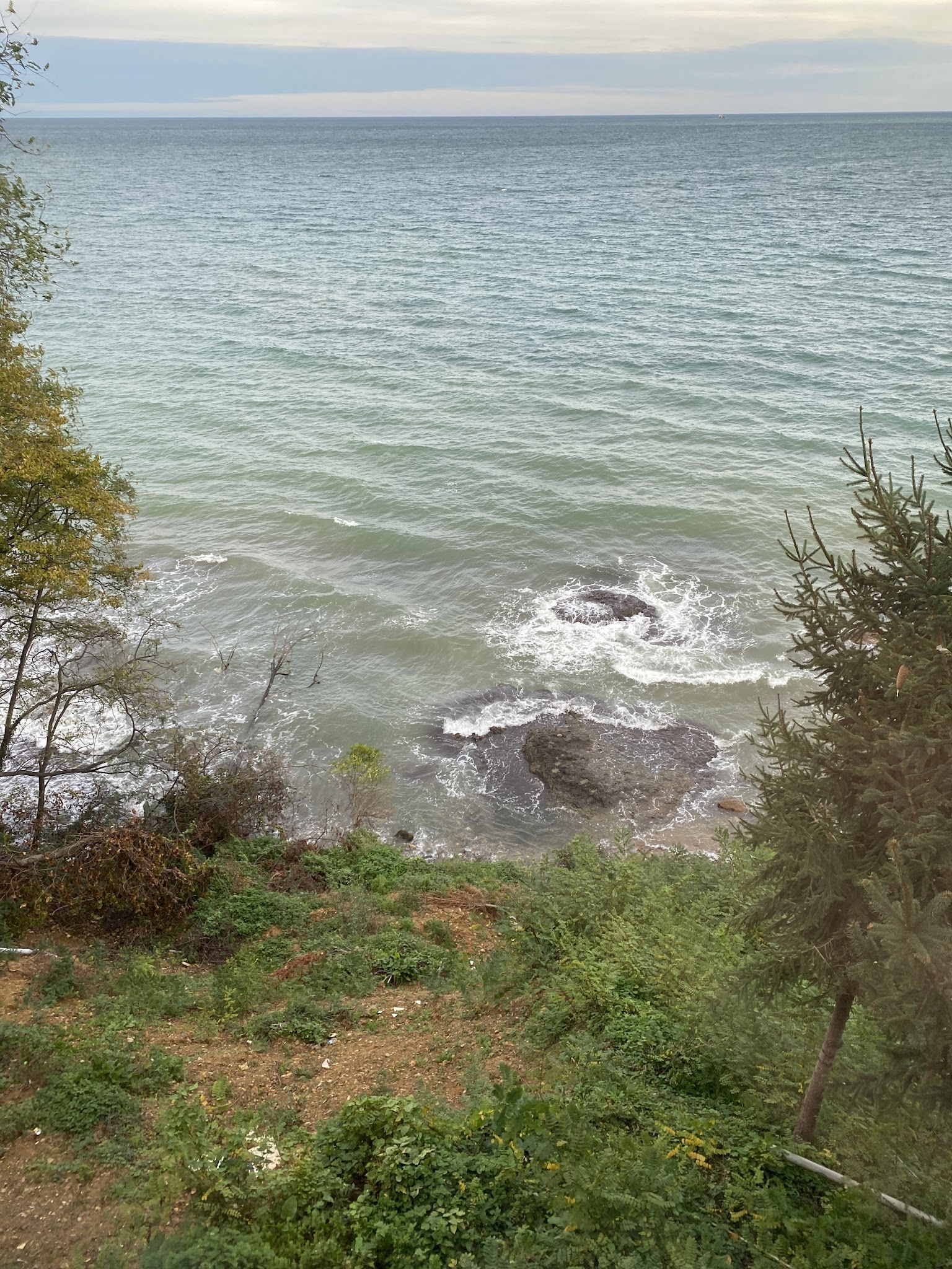 Cotyora Steak & Lounge