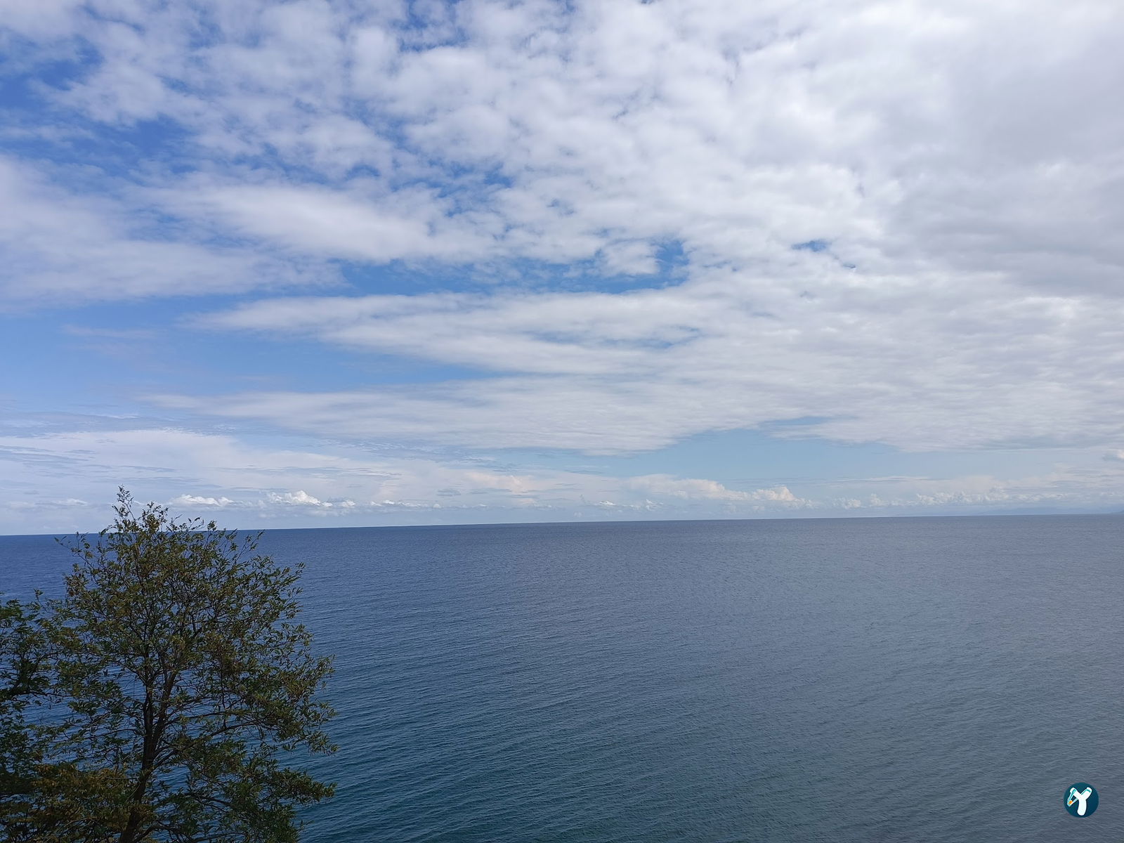 Cotyora Steak & Lounge