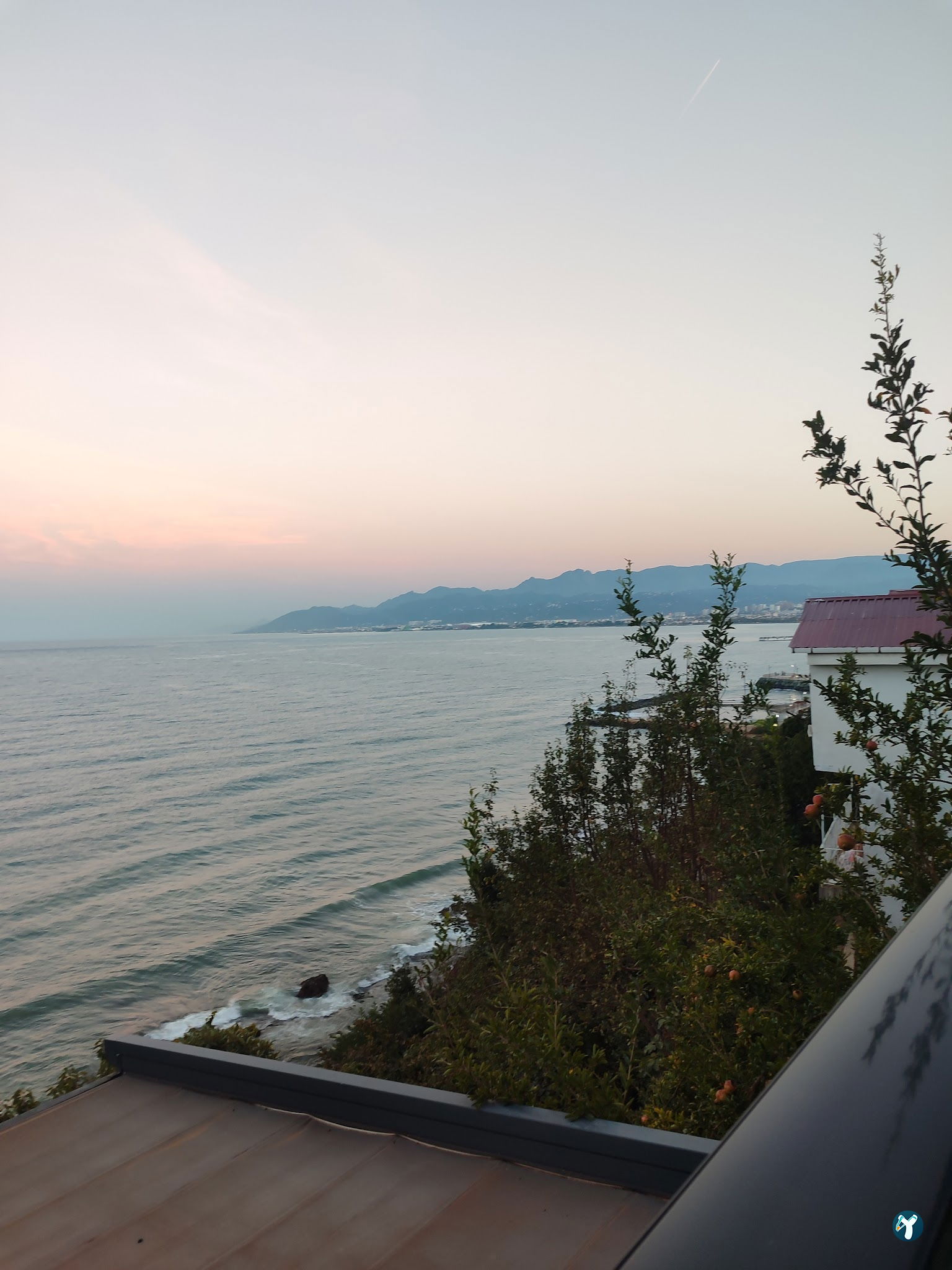 Cotyora Steak & Lounge