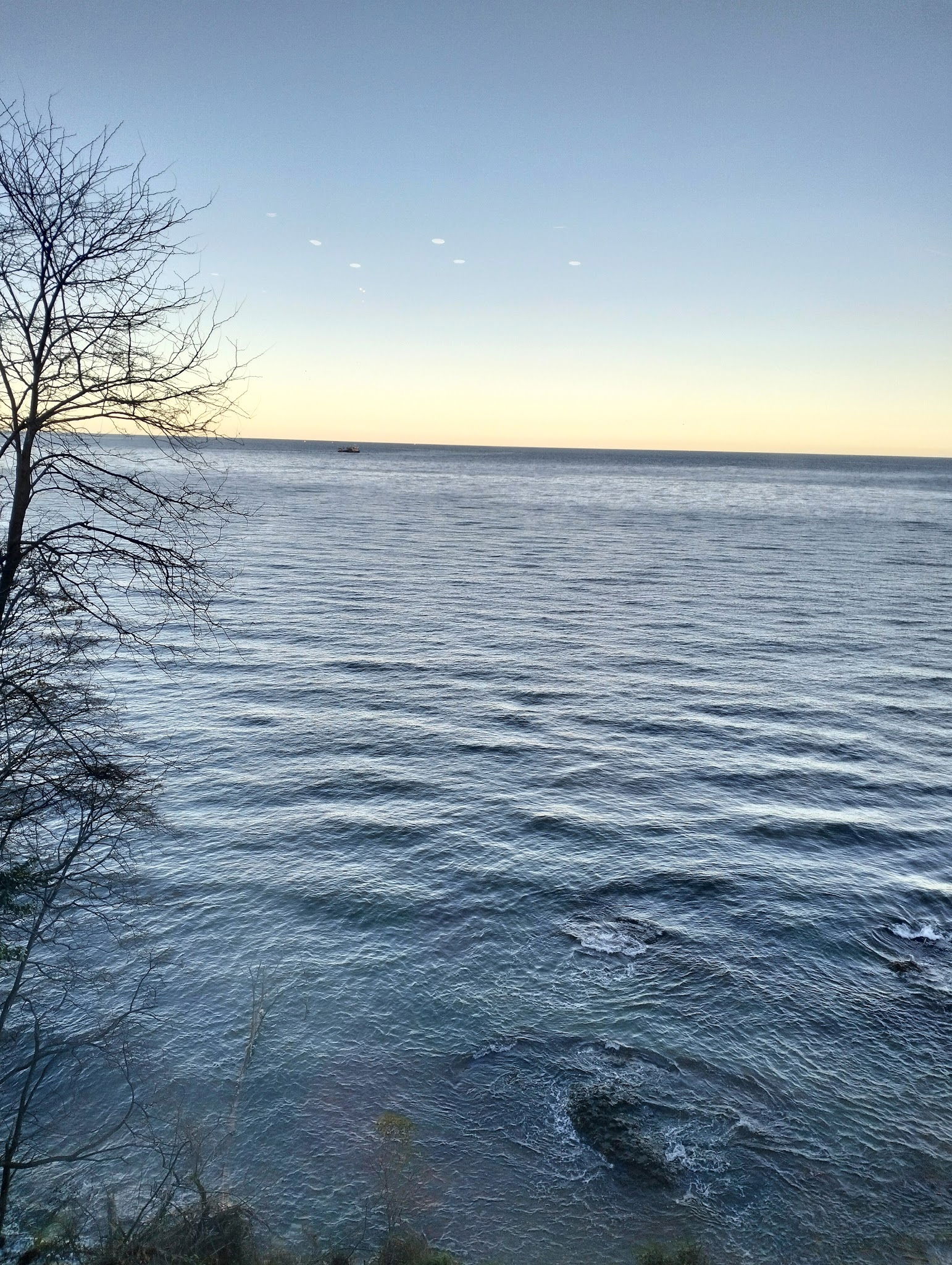 Cotyora Steak & Lounge