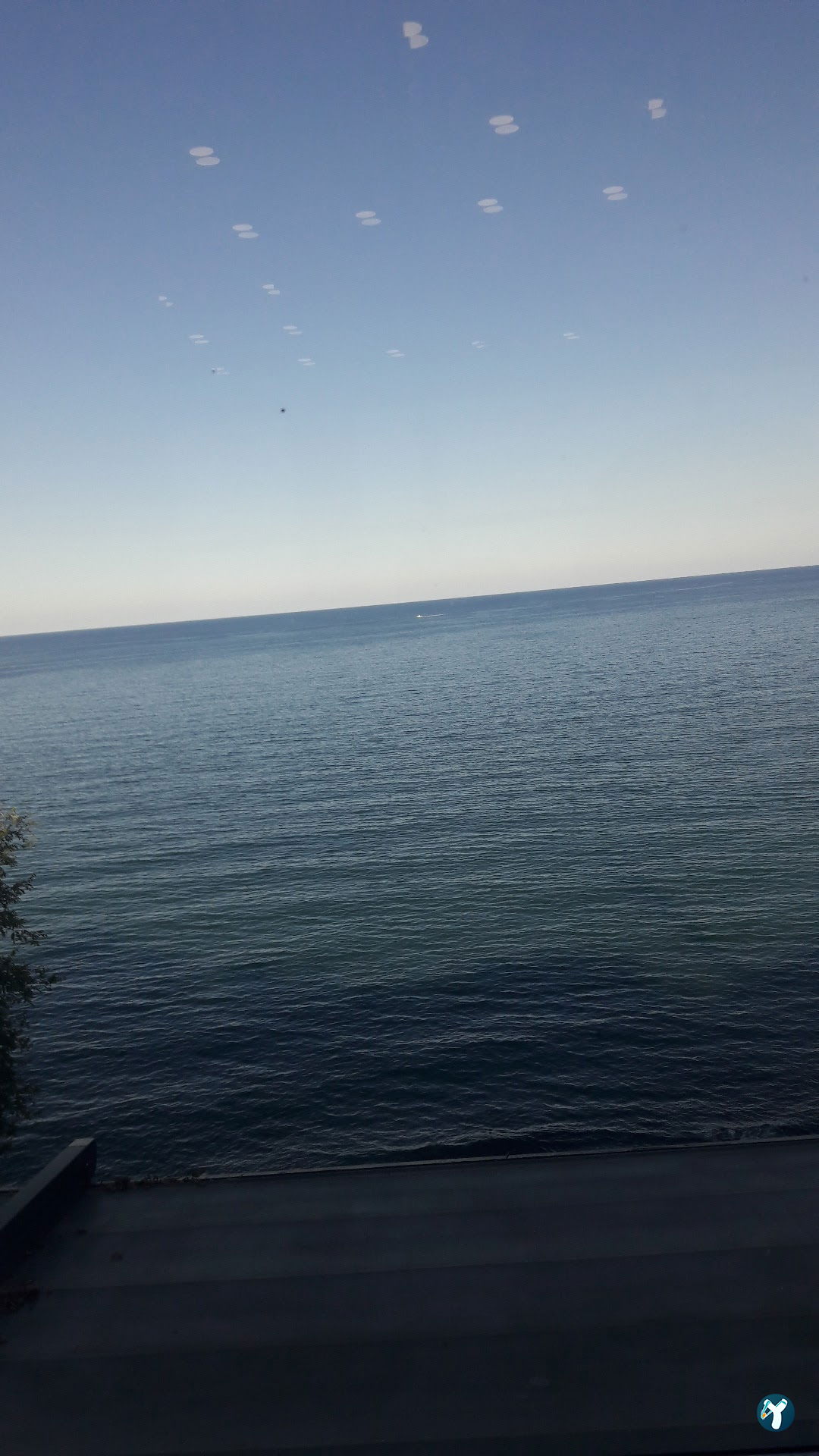 Cotyora Steak & Lounge