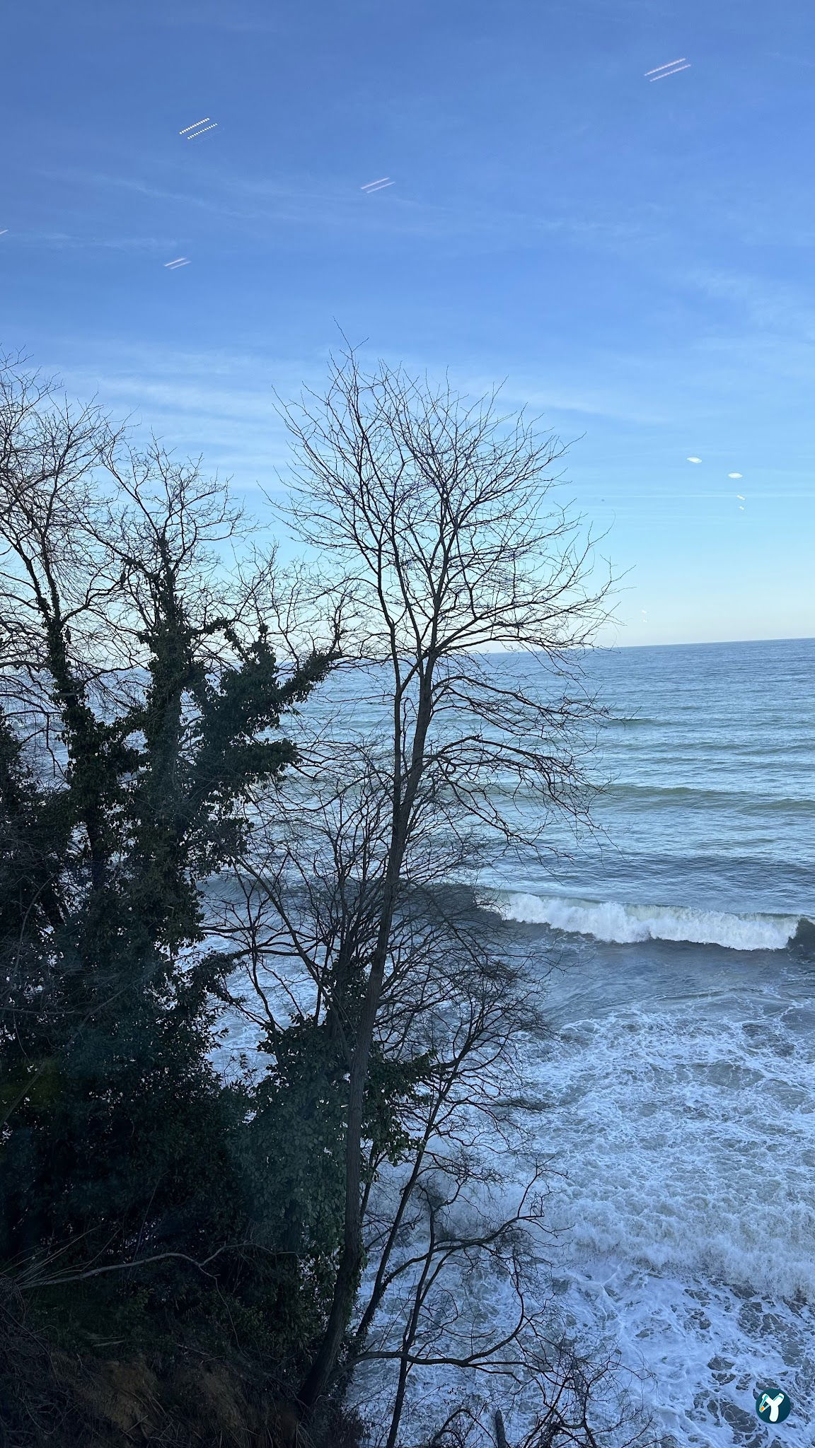 Cotyora Steak & Lounge