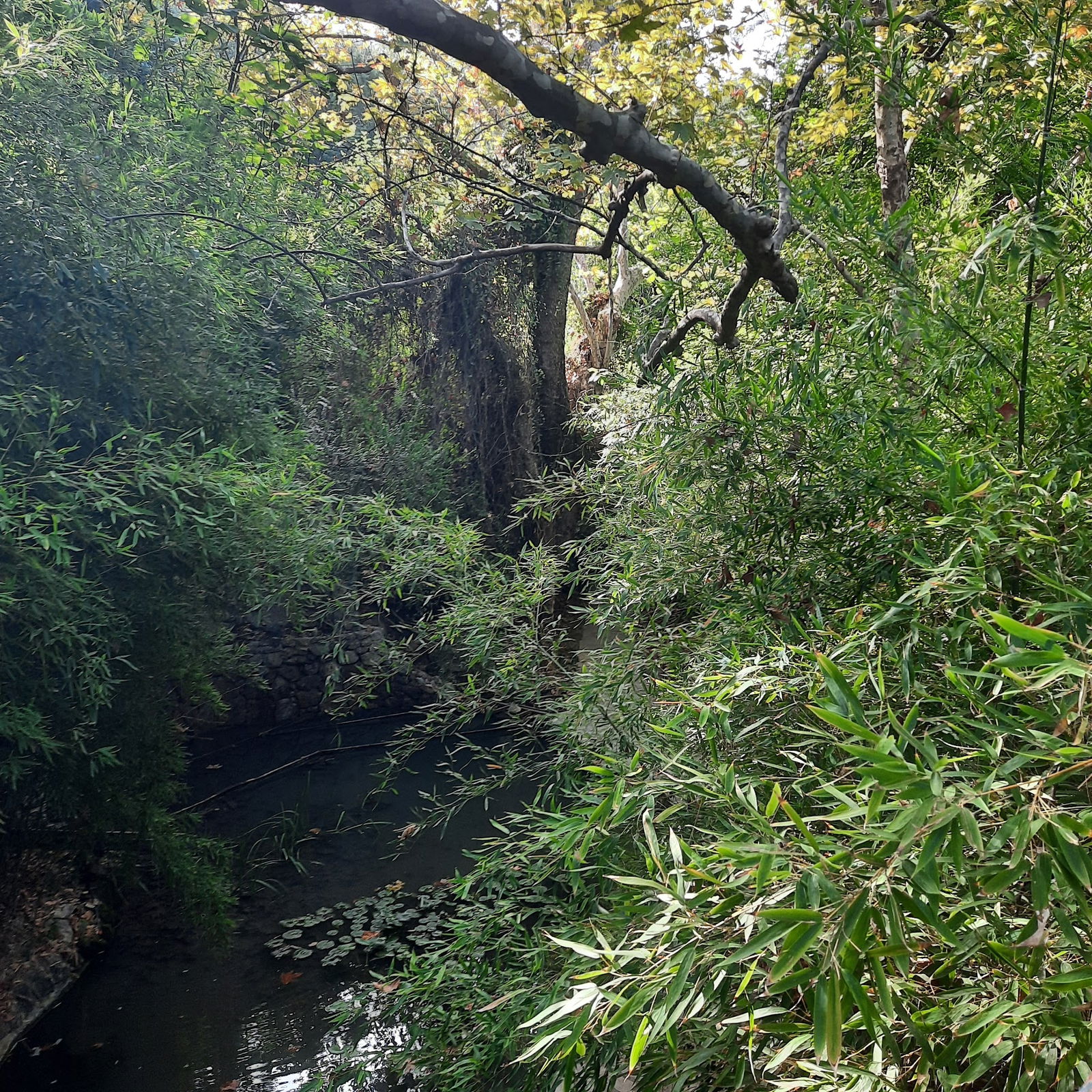 Akkaya Garden Restaurant