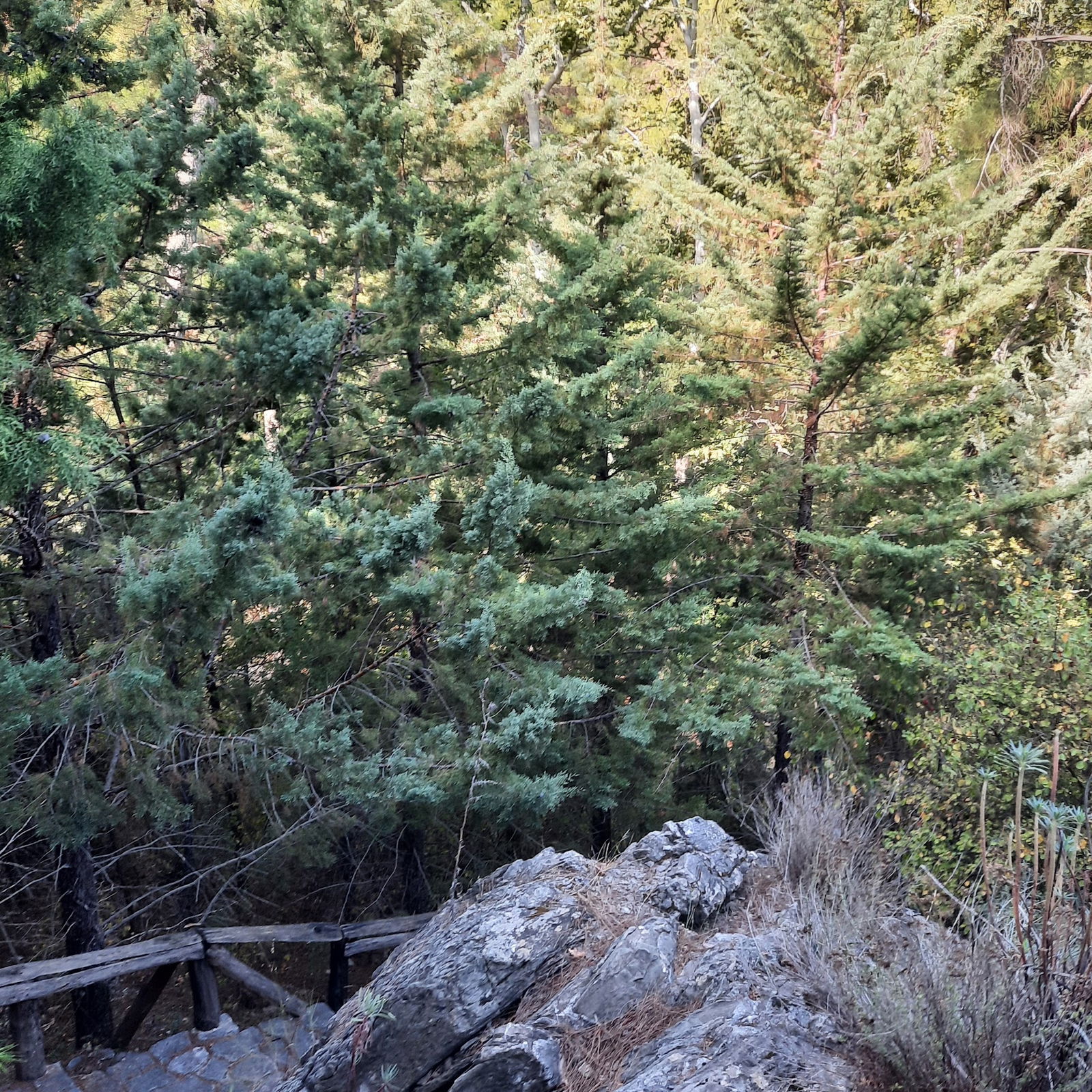 Akkaya Garden Restaurant