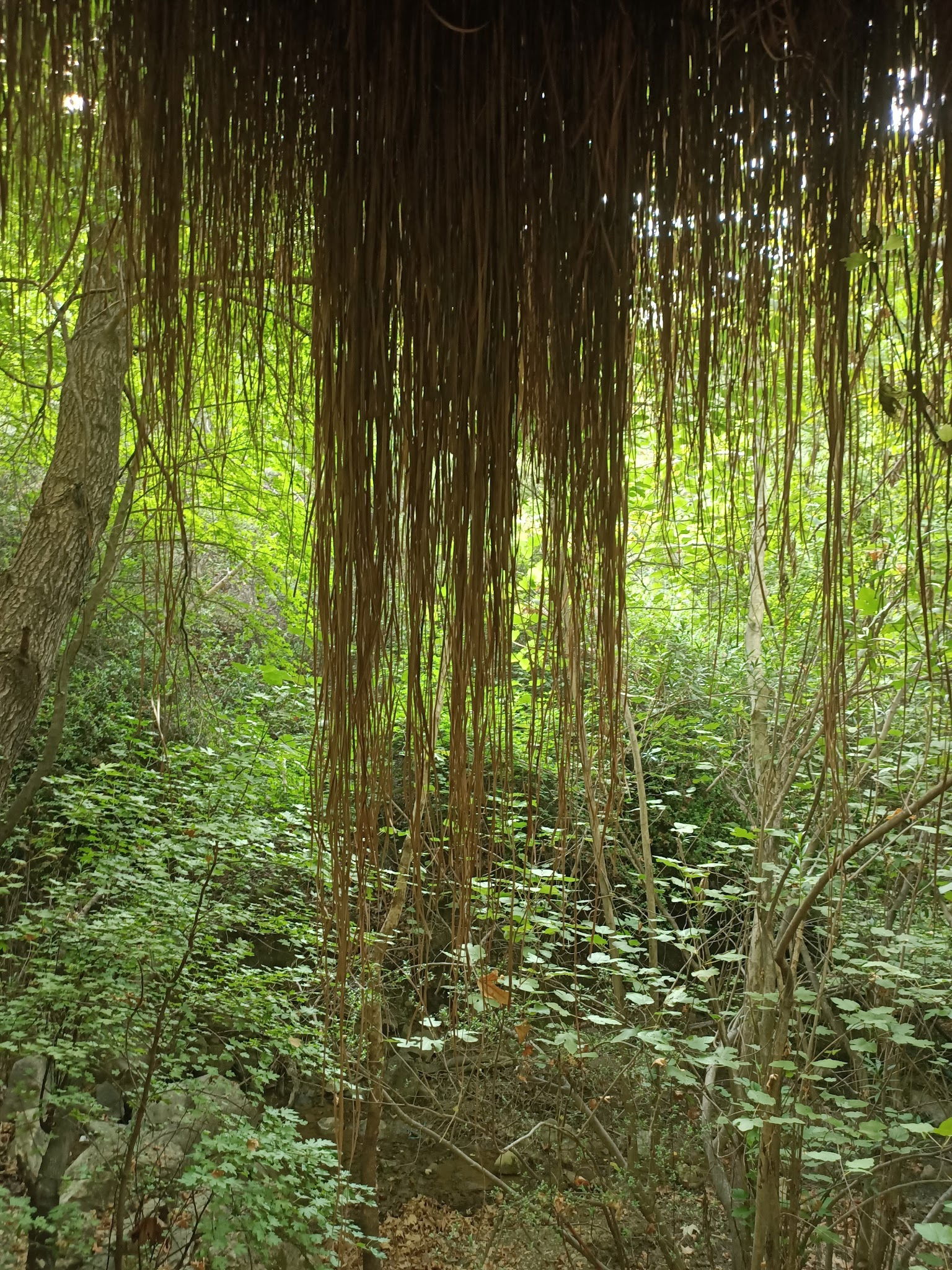 Akkaya Garden Restaurant