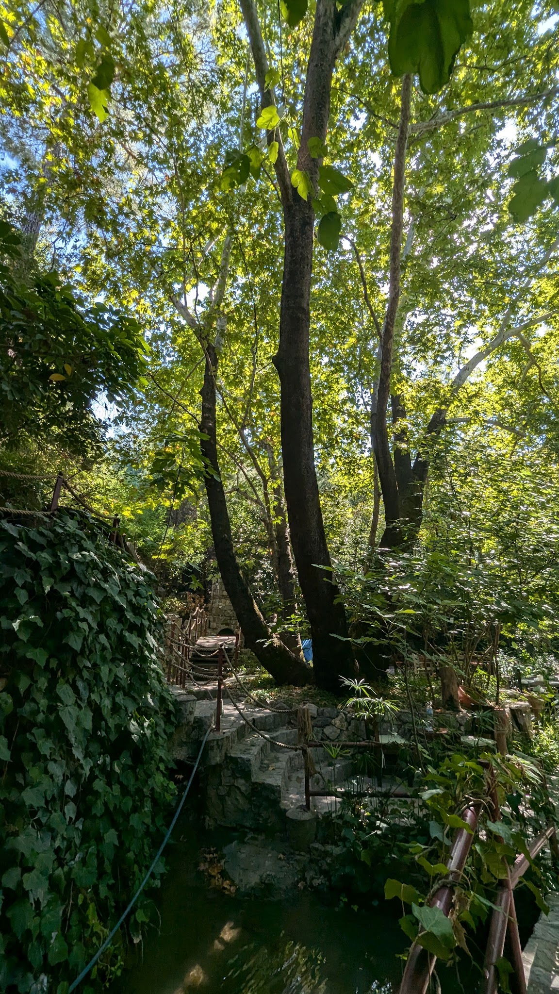 Akkaya Garden Restaurant