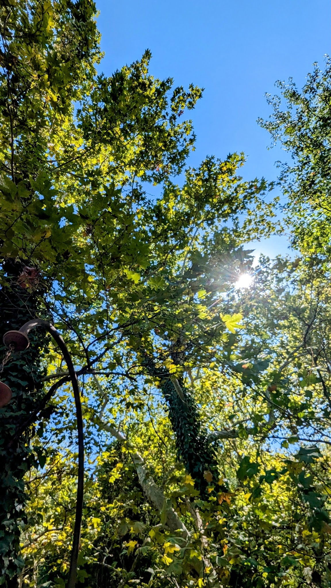 Akkaya Garden Restaurant
