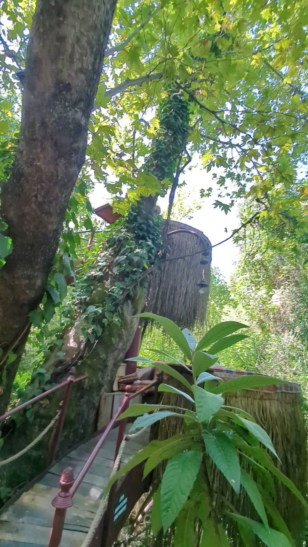 Akkaya Garden Restaurant