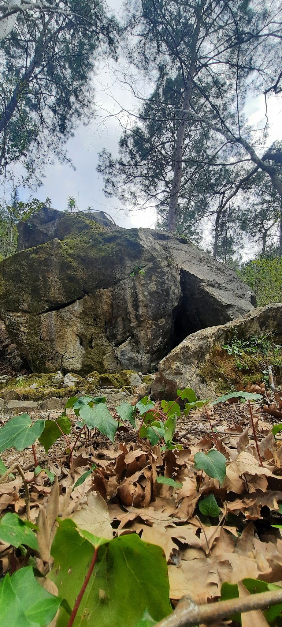 Akkaya Garden Restaurant