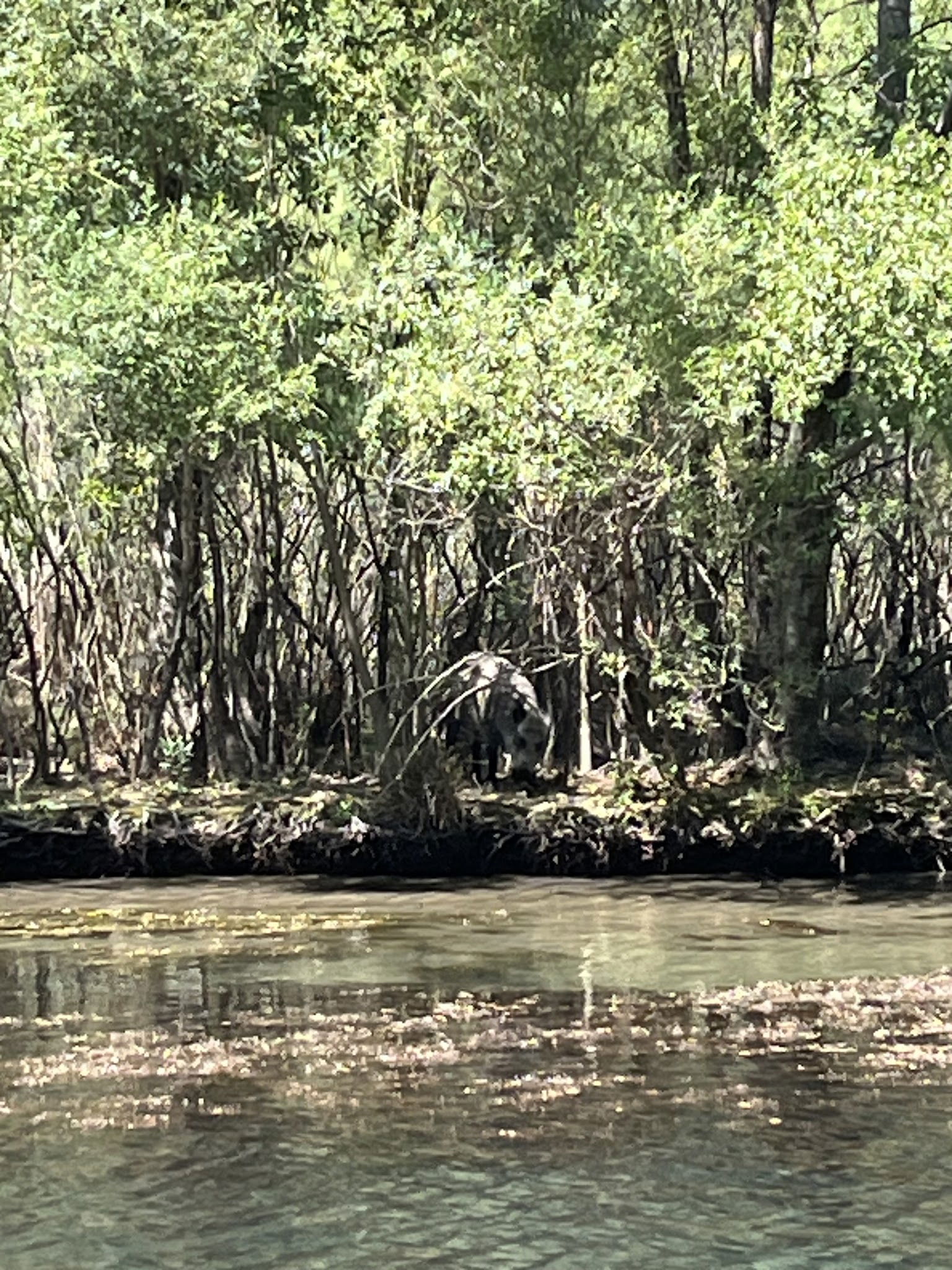 Akkaya Garden Restaurant