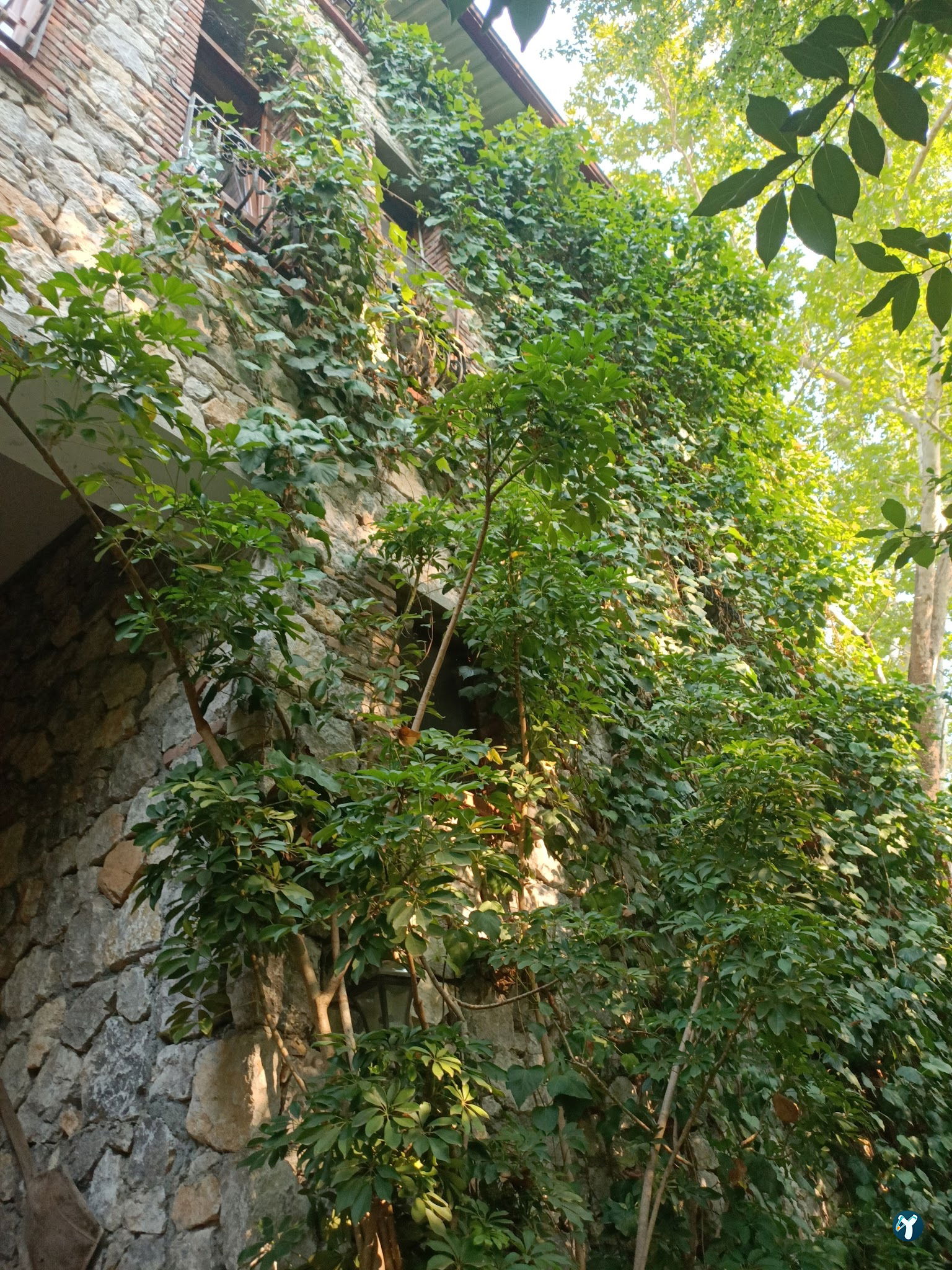 Akkaya Garden Restaurant