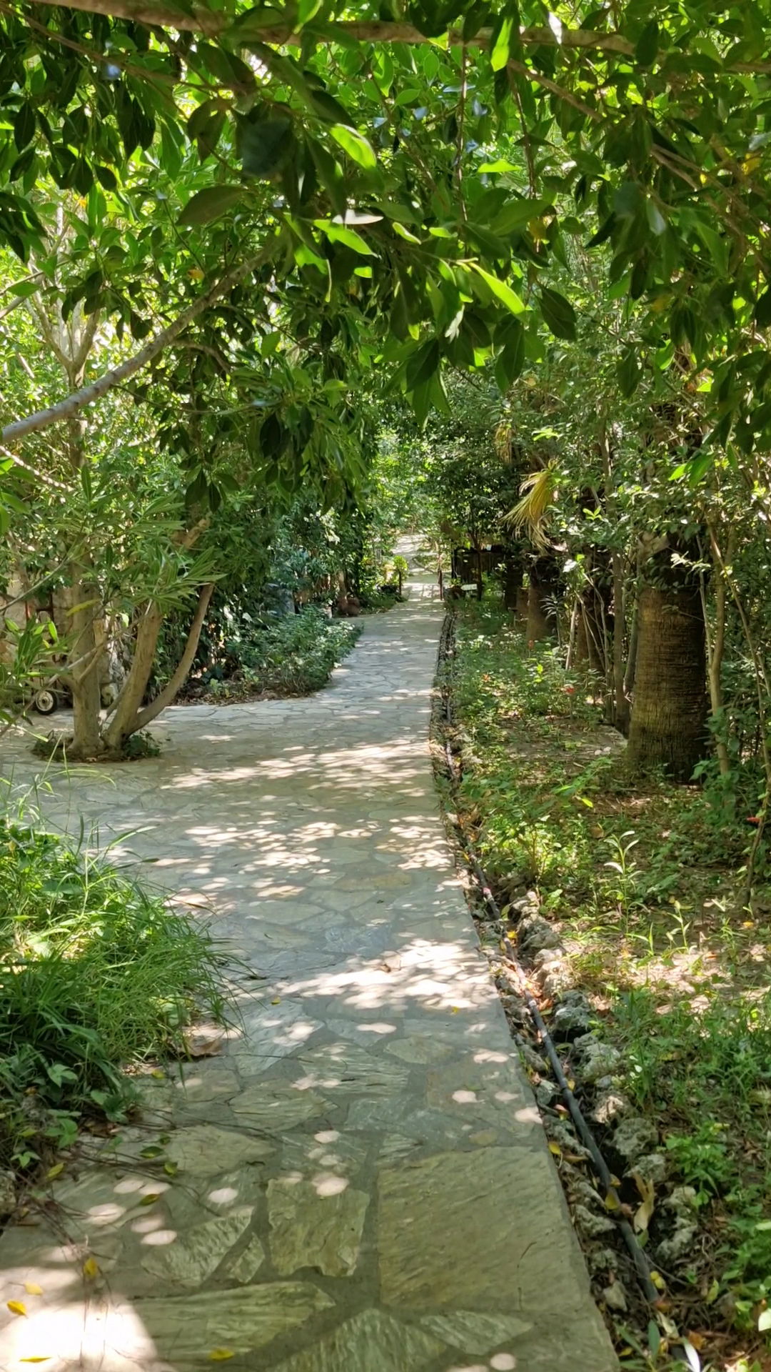 Akkaya Garden Restaurant