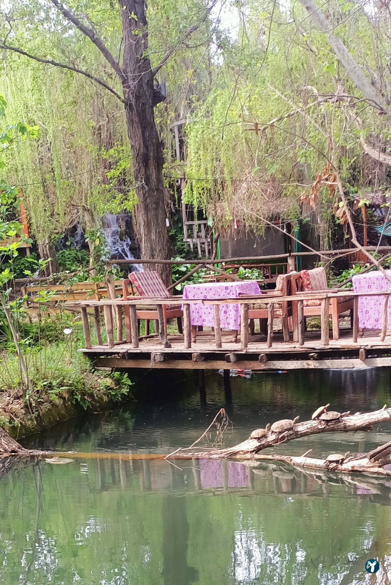 Dede Kavak Restoran
