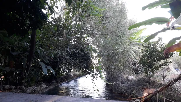 Dede Kavak Restoran resimleri
