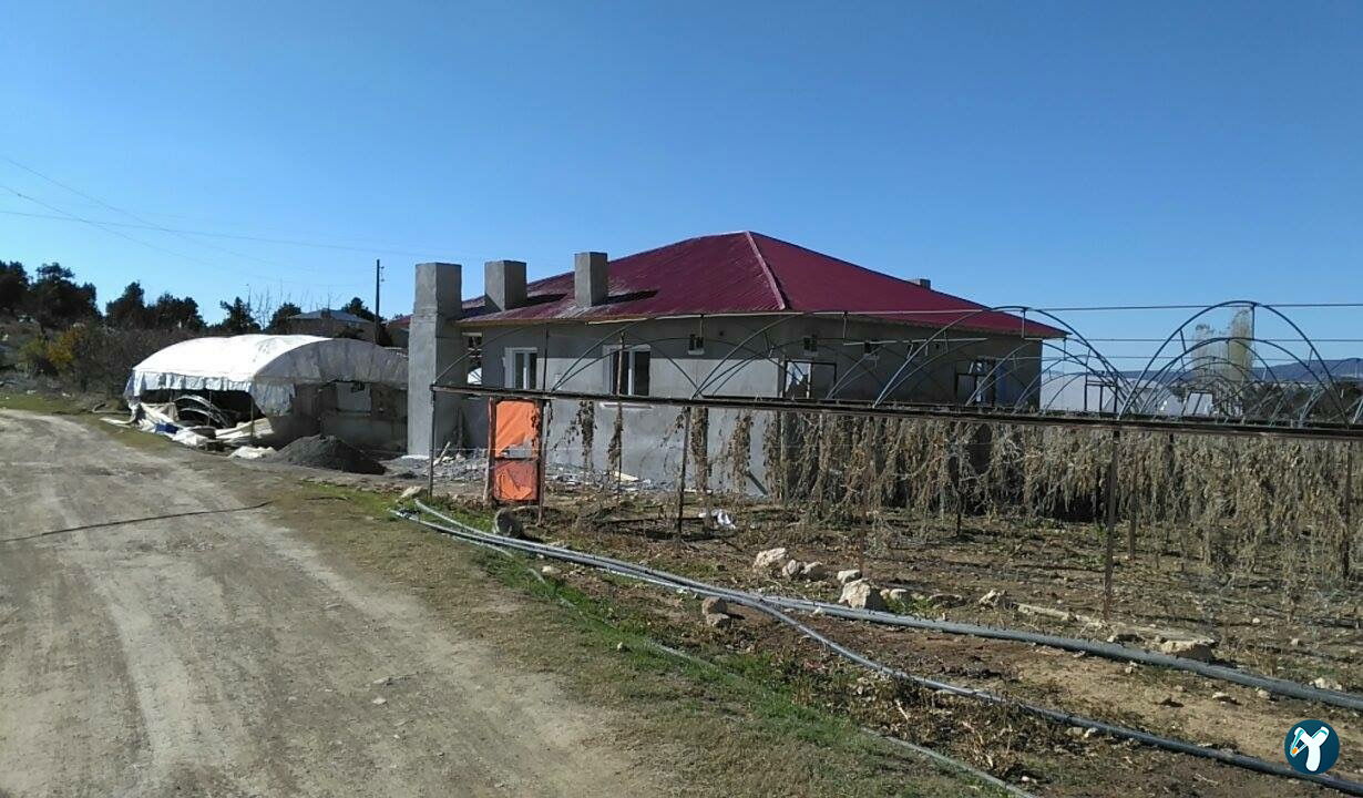 Dede Kavak Restoran