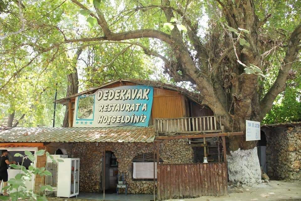 Dede Kavak Restoran