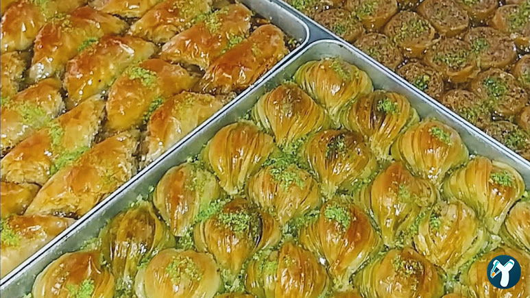 Can PASTANESİ