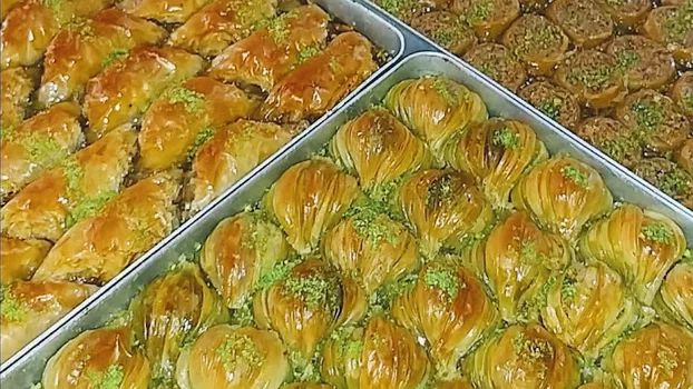 Can PASTANESİ resimleri