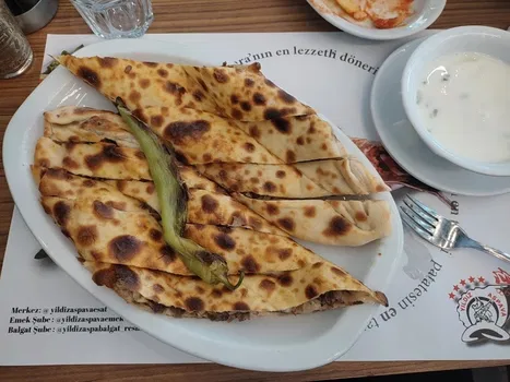 Yildiz Aspava Emek resimleri