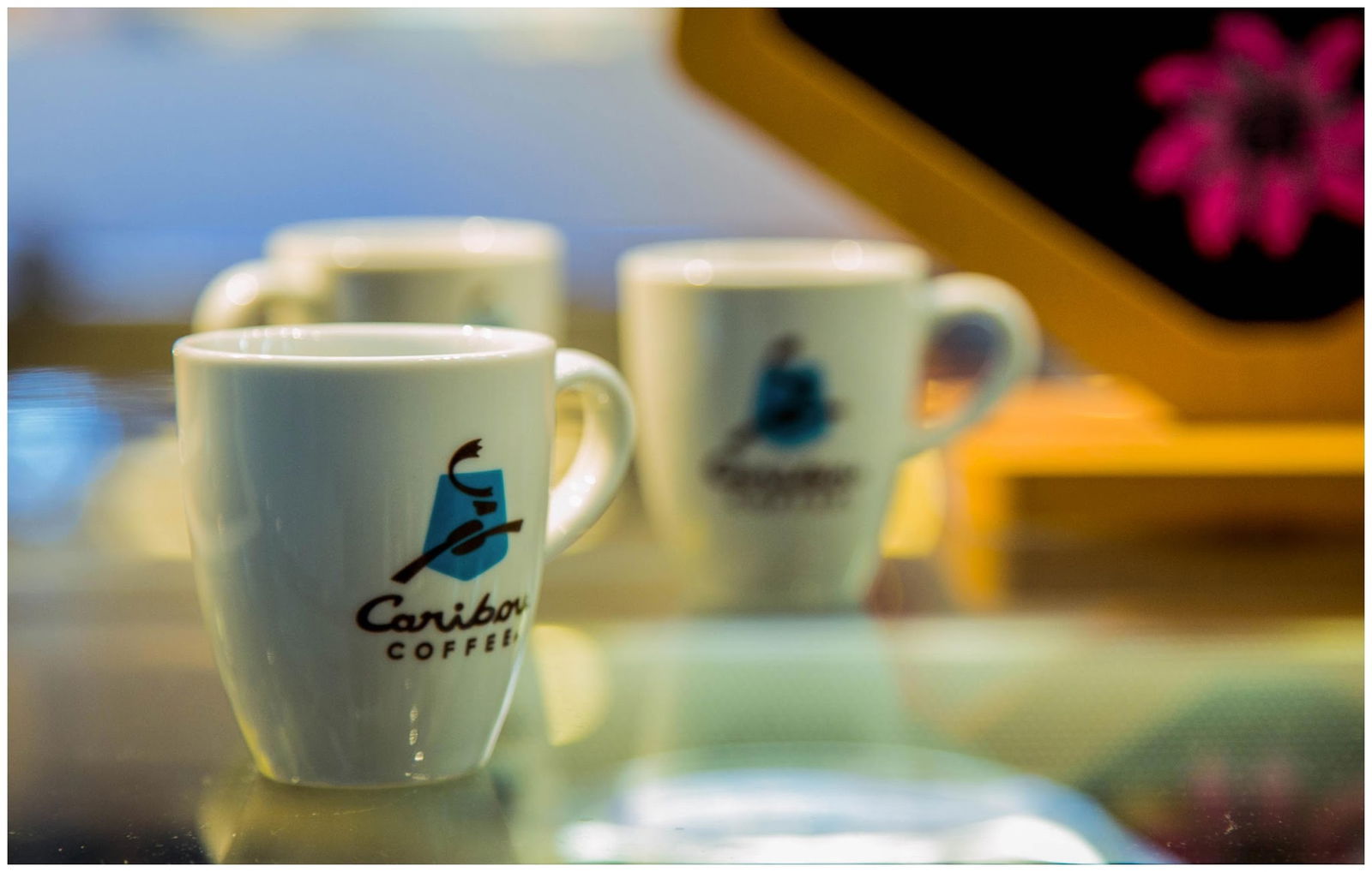 Caribou Coffee