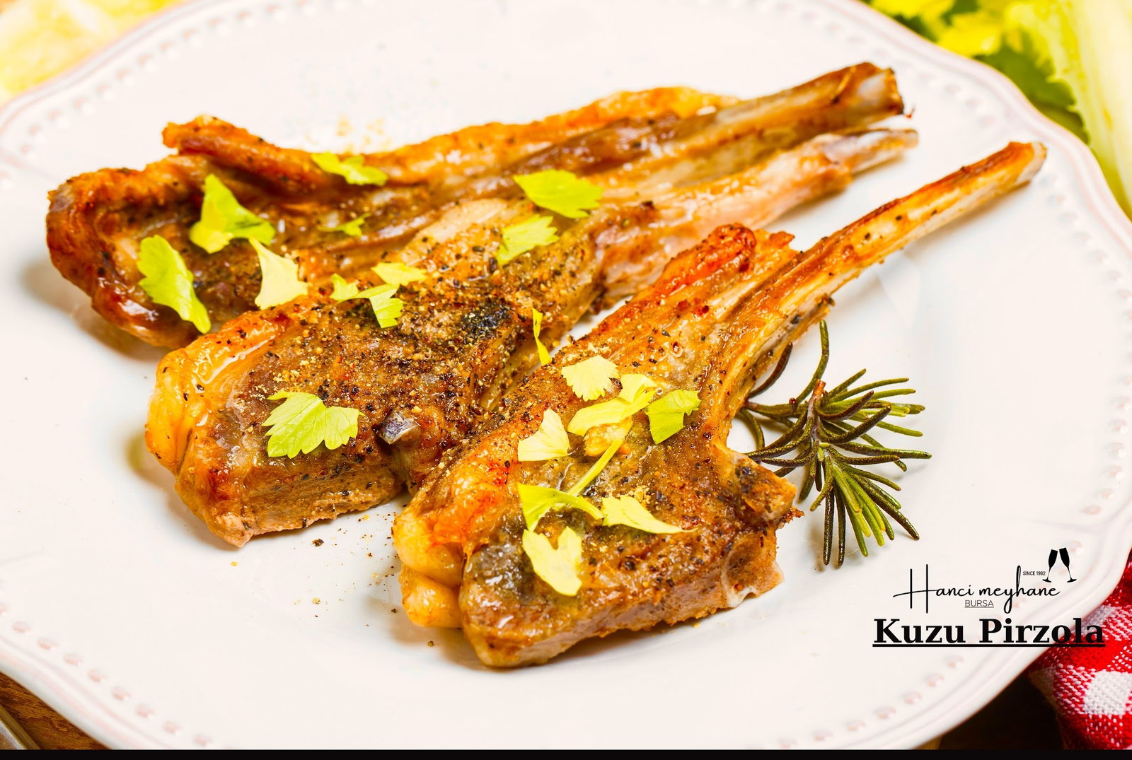 Hancı Meyhane Bursa