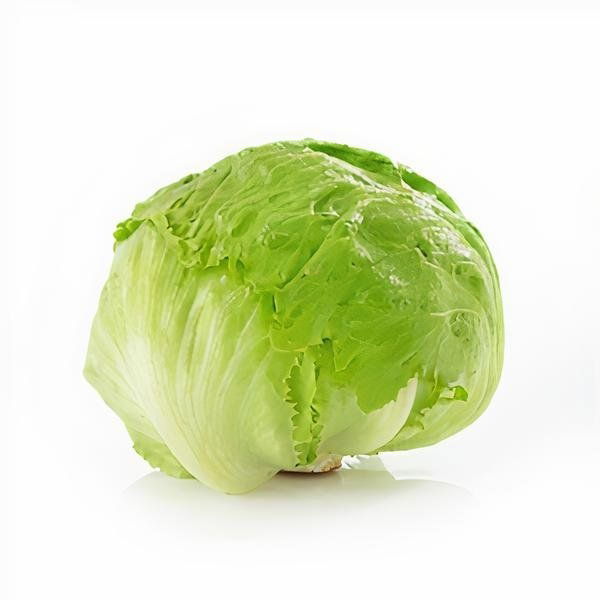 Iceberg Marul (Tam)