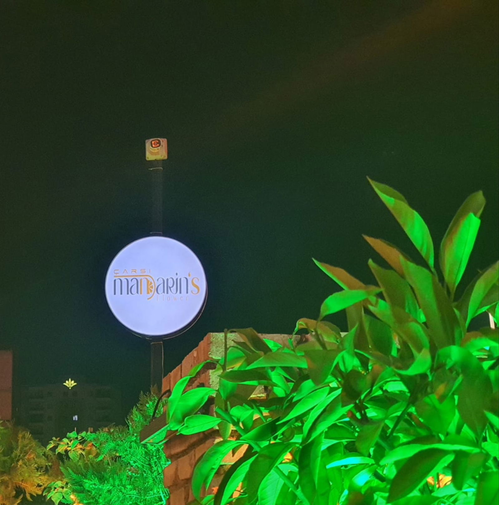 Çarşı | Mandarin'S Flower