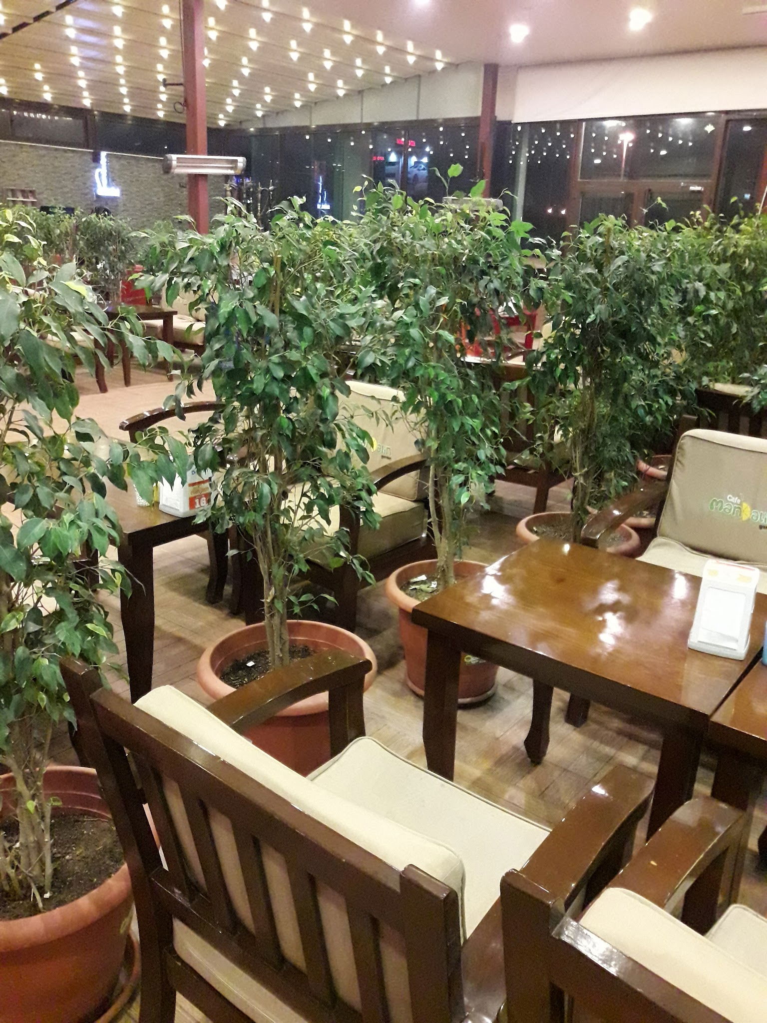 Çarşı | Mandarin'S Flower