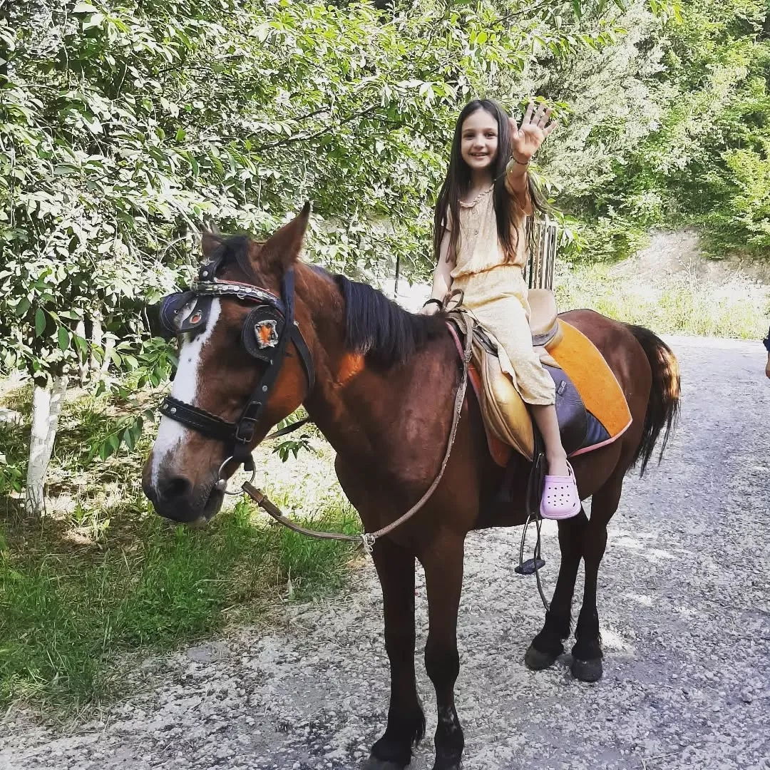 Mevsim Bahar Piknik Ve Kır Restaurant