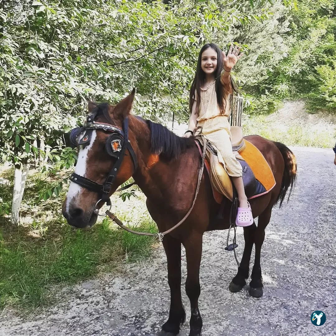Mevsim Bahar Piknik Ve Kır Restaurant