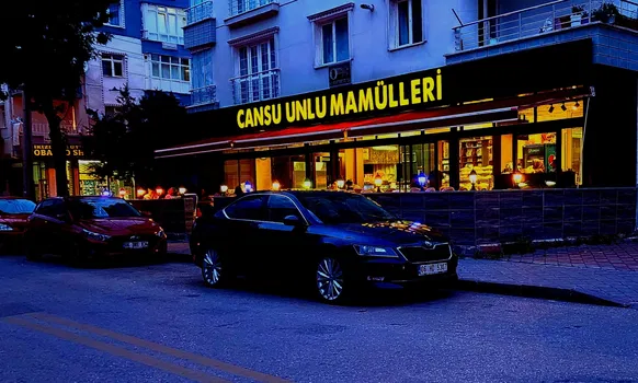 Cansu Pastanesi resimleri