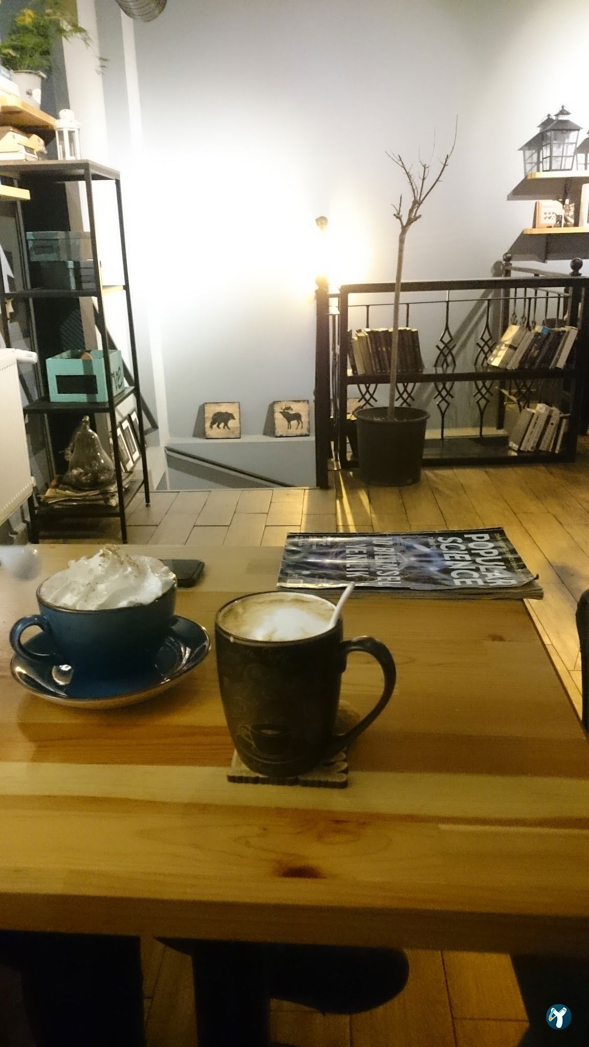 İda Coffee