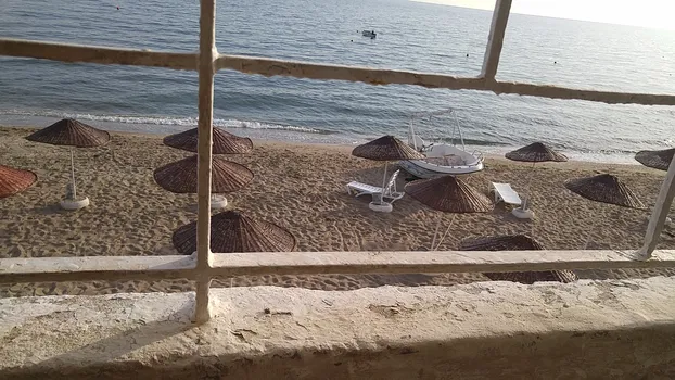 Yuva Cafe Tekel resimleri