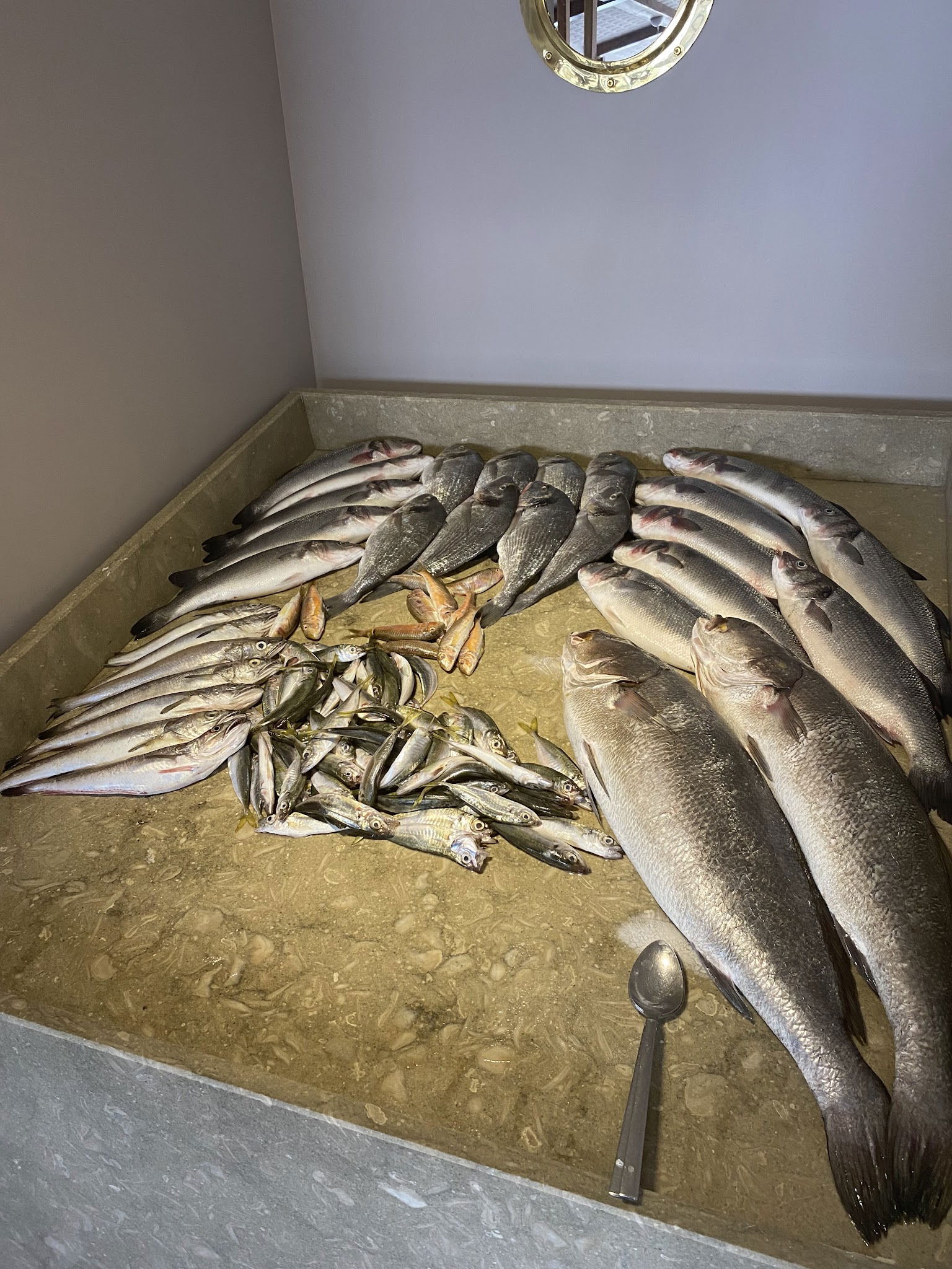 Arda Cunda Meze&Balık 2 (Hürriyet)