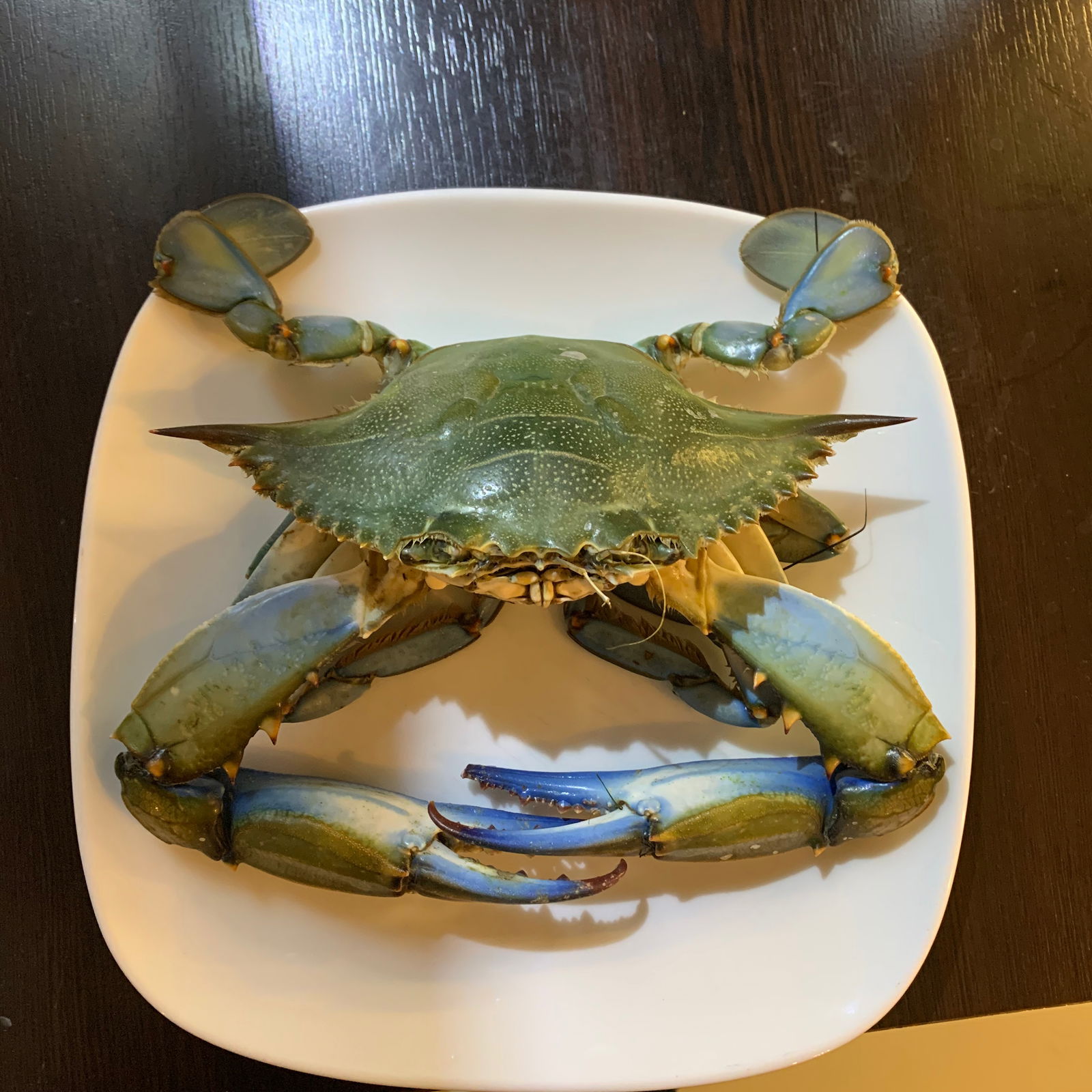 Arda Cunda Meze&Balık 2 (Hürriyet)