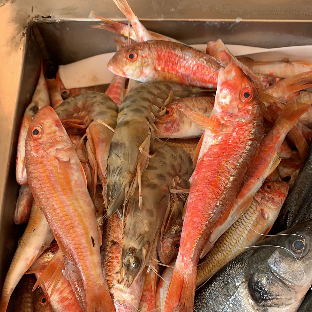 Arda Cunda Meze&Balık 2 (Hürriyet)