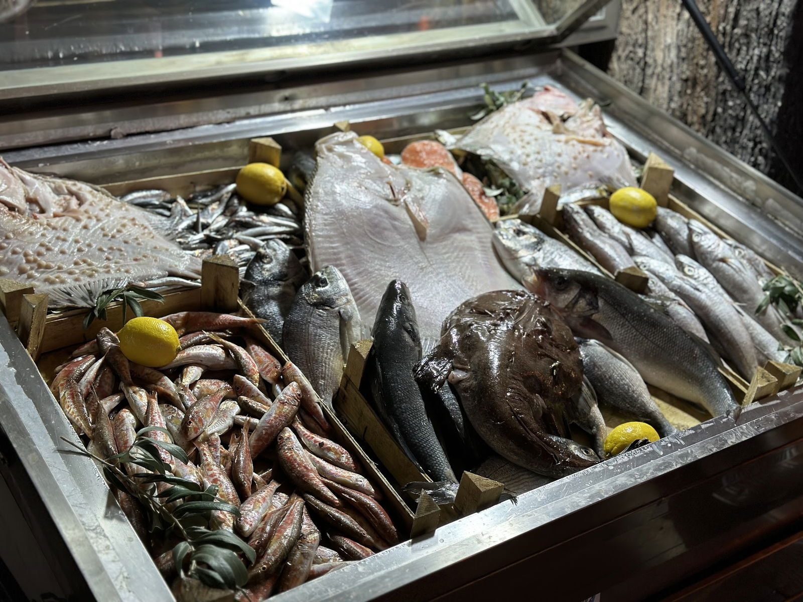 Arda Cunda Meze&Balık 2 (Hürriyet)