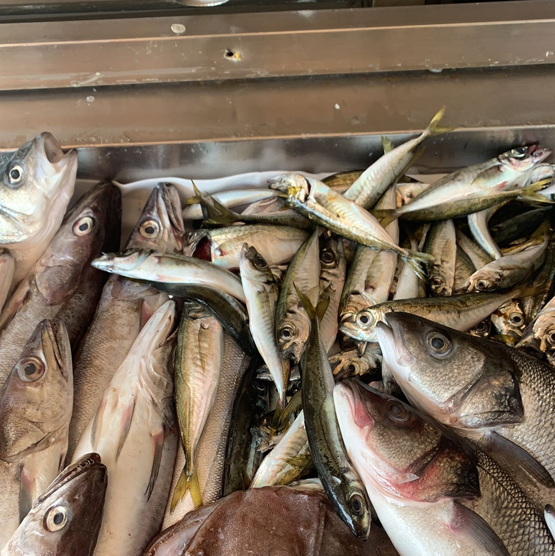 Arda Cunda Meze&Balık 2 (Hürriyet)