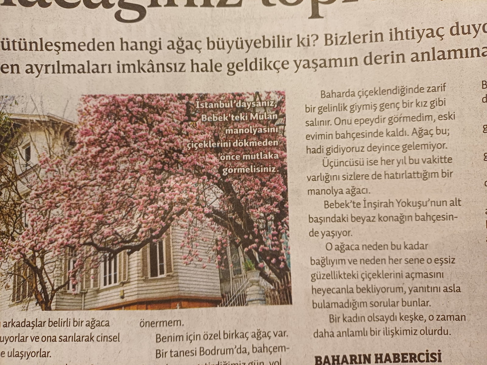 Arabica Coffee House Kurtuluş