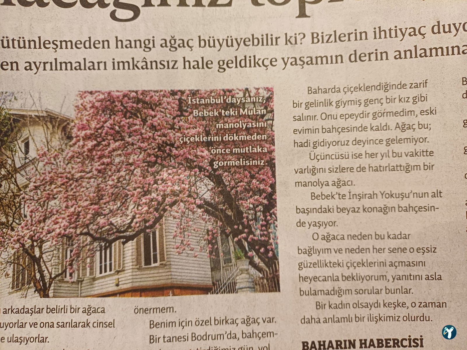 Arabica Coffee House Kurtuluş