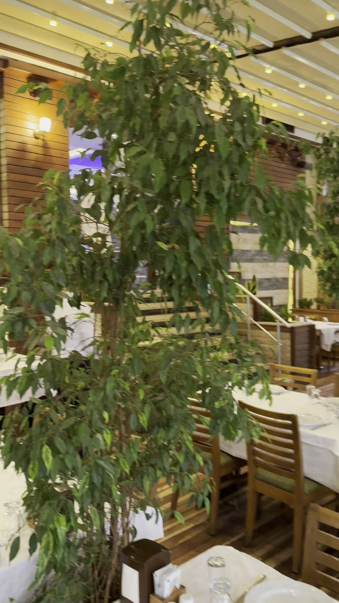 Köz Kanat Ataşehir