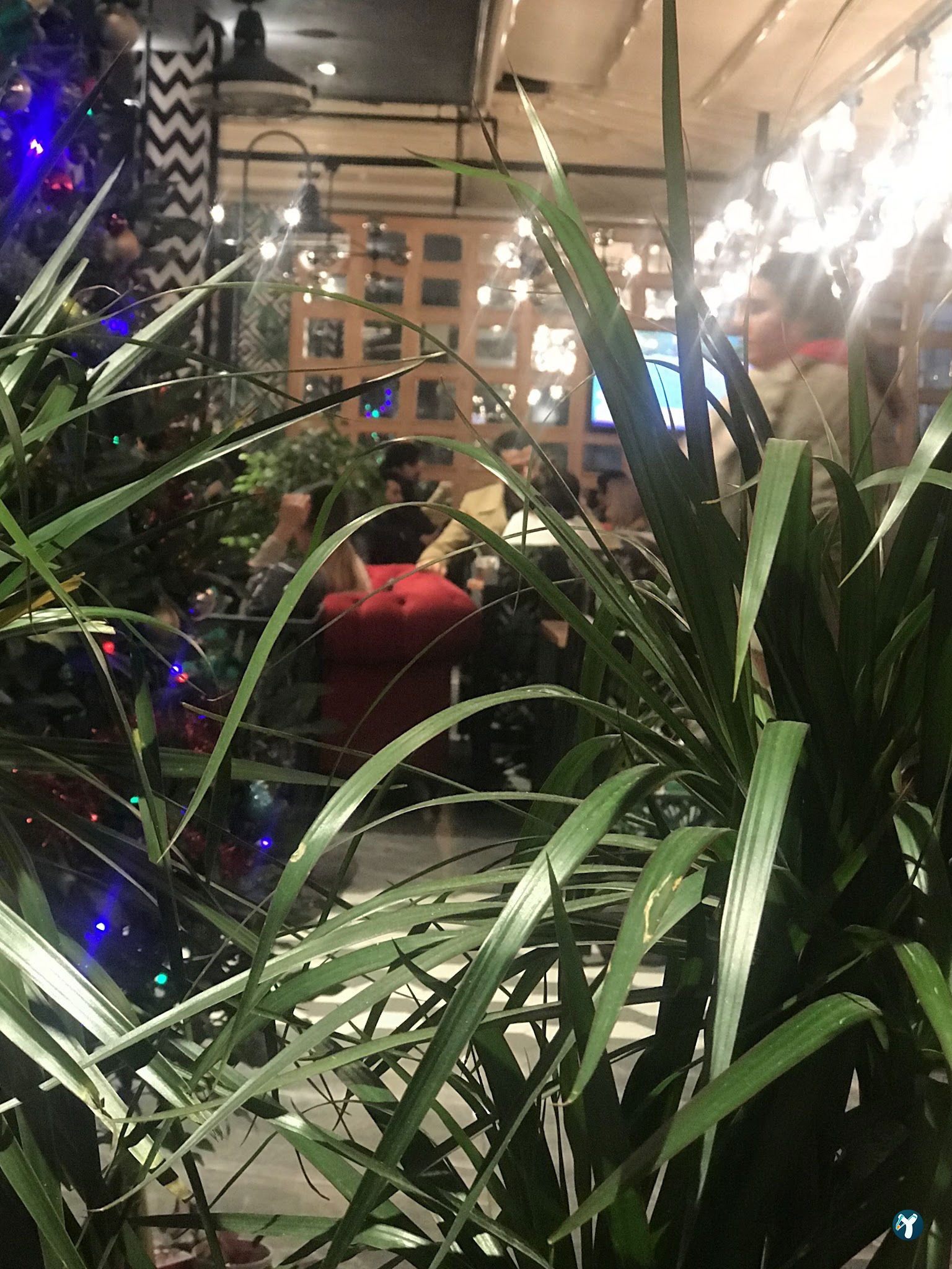 Balkon Cafe Florya